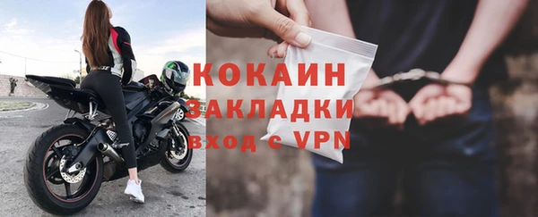 ГАЛЛЮЦИНОГЕННЫЕ ГРИБЫ Коряжма