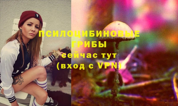 ГАЛЛЮЦИНОГЕННЫЕ ГРИБЫ Коряжма