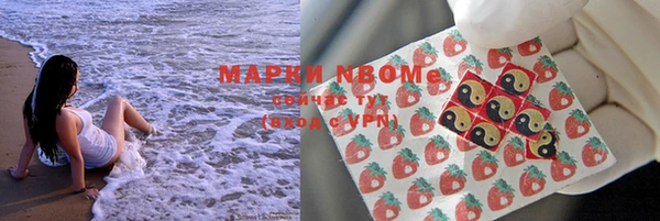 ГАЛЛЮЦИНОГЕННЫЕ ГРИБЫ Коряжма