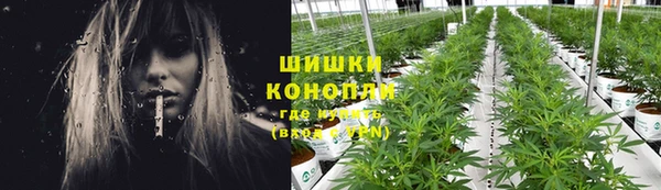мет Корсаков
