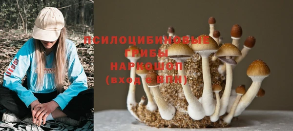 ГАЛЛЮЦИНОГЕННЫЕ ГРИБЫ Коряжма