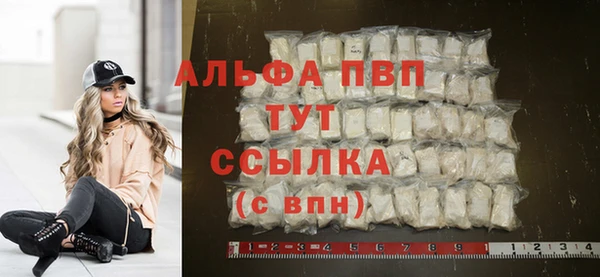 ГАЛЛЮЦИНОГЕННЫЕ ГРИБЫ Коряжма