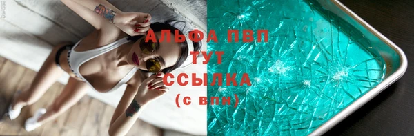 ГАЛЛЮЦИНОГЕННЫЕ ГРИБЫ Коряжма